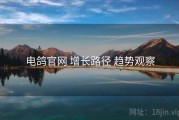 电鸽官网 增长路径 趋势观察