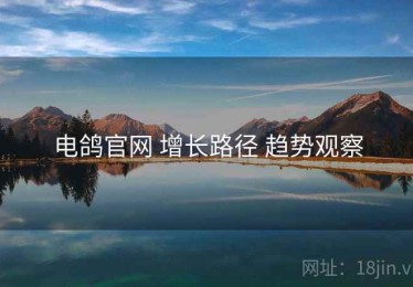 电鸽官网 增长路径 趋势观察