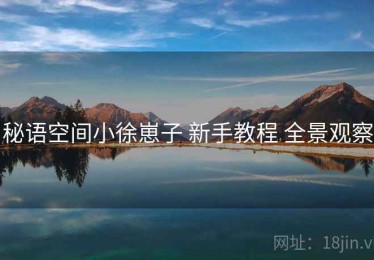 秘语空间小徐崽子 新手教程 全景观察