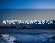电鸽网页版 内容合规 全景观察