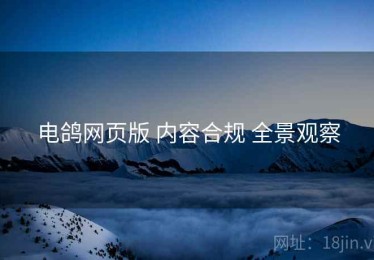 电鸽网页版 内容合规 全景观察