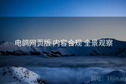 电鸽网页版 内容合规 全景观察