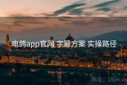 电鸽app官网 字幕方案 实操路径