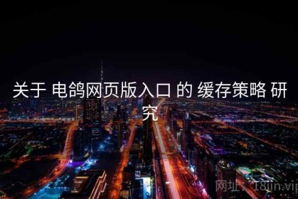 关于 电鸽网页版入口 的 缓存策略 研究