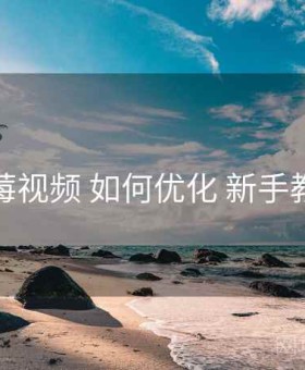 蓝莓视频 如何优化 新手教程