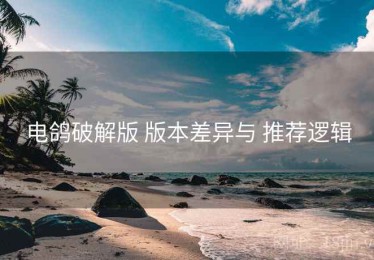 电鸽破解版 版本差异与 推荐逻辑