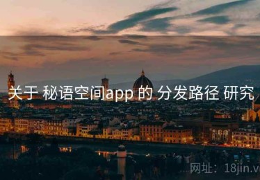 关于 秘语空间app 的 分发路径 研究