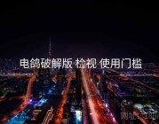电鸽破解版 检视 使用门槛
