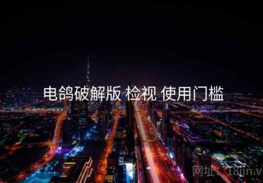 电鸽破解版 检视 使用门槛