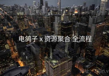 电鸽子 x 资源聚合 全流程
