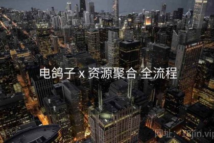 电鸽子 x 资源聚合 全流程