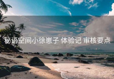 秘语空间小徐崽子 体验记 审核要点