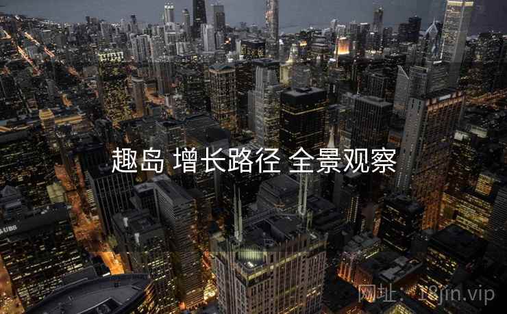 趣岛 增长路径 全景观察