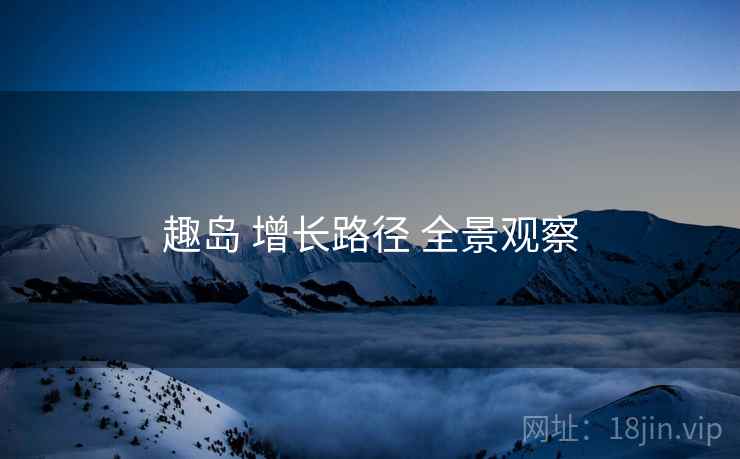 趣岛 增长路径 全景观察