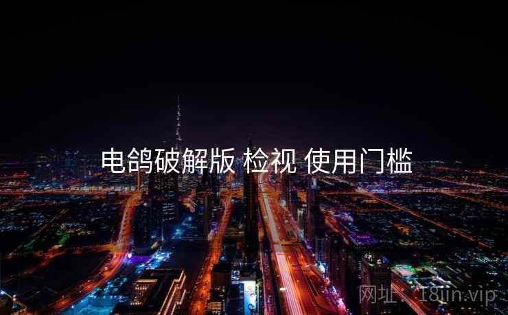 电鸽破解版 检视 使用门槛