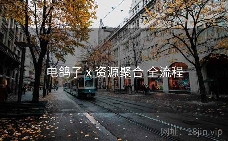 电鸽子 x 资源聚合 全流程