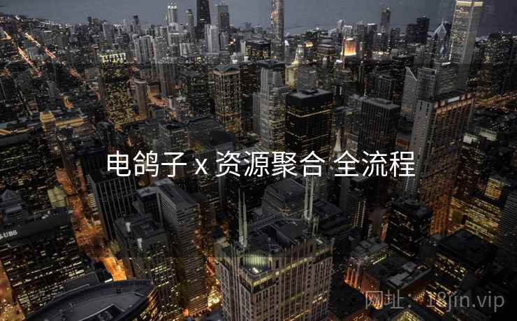 电鸽子 x 资源聚合 全流程