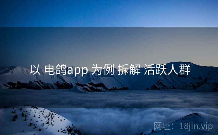以 电鸽app 为例 拆解 活跃人群