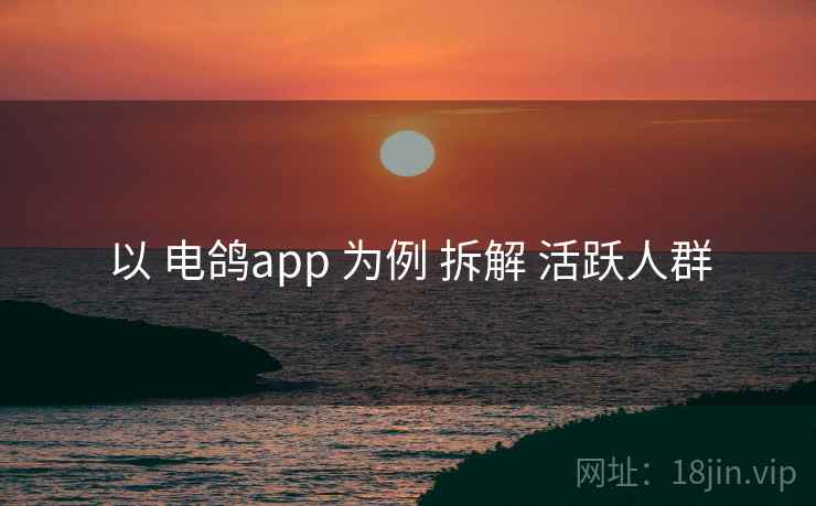 以 电鸽app 为例 拆解 活跃人群