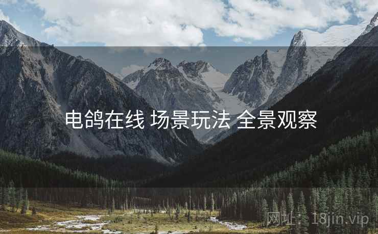 电鸽在线 场景玩法 全景观察