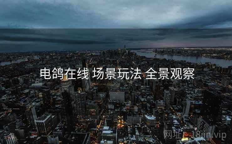 电鸽在线 场景玩法 全景观察
