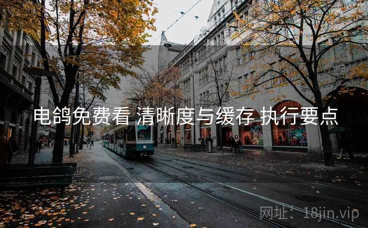 电鸽免费看 清晰度与缓存 执行要点