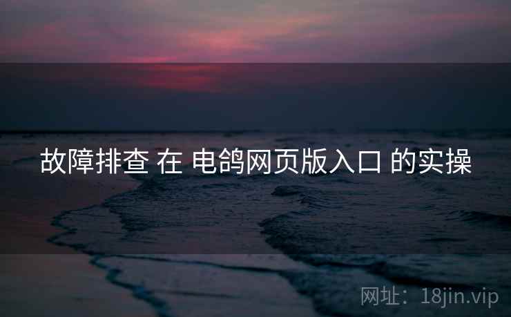 故障排查 在 电鸽网页版入口 的实操