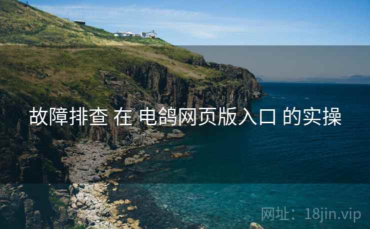故障排查 在 电鸽网页版入口 的实操