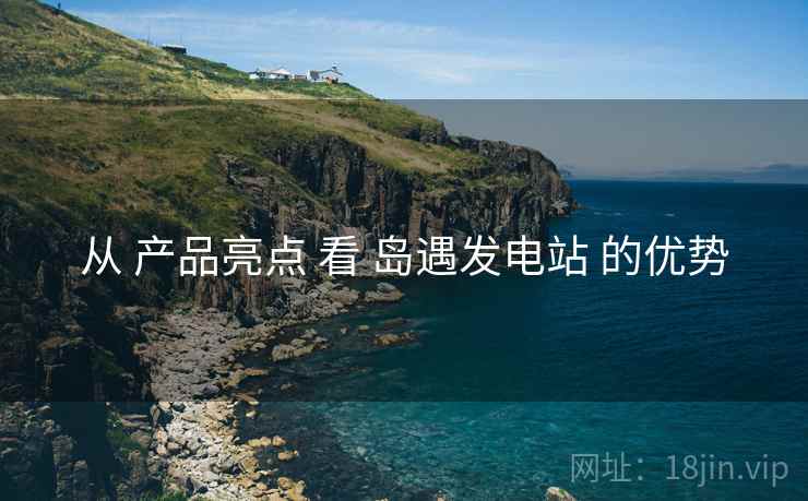 从 产品亮点 看 岛遇发电站 的优势