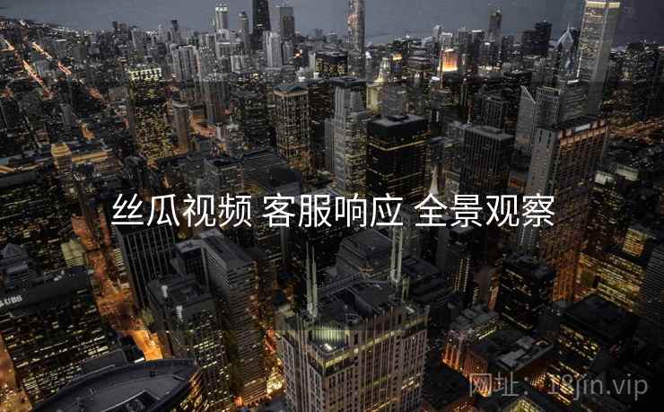 丝瓜视频 客服响应 全景观察