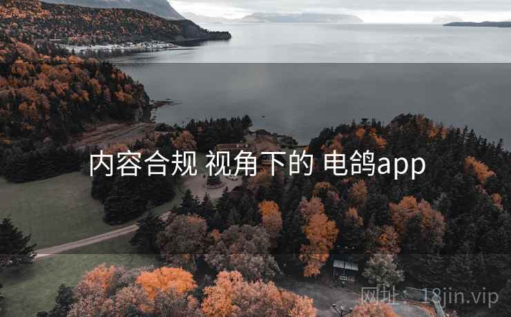 内容合规 视角下的 电鸽app