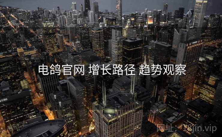 电鸽官网 增长路径 趋势观察