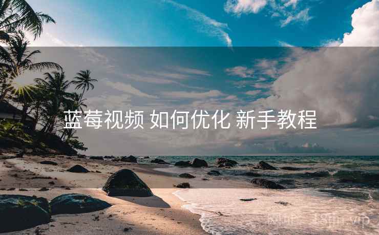 蓝莓视频 如何优化 新手教程