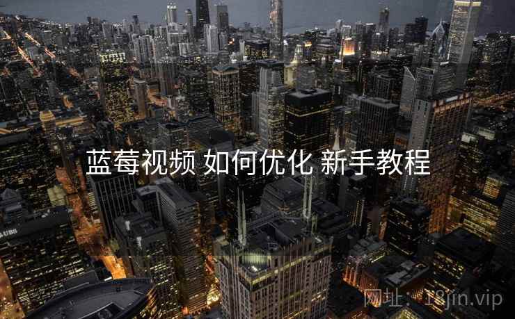 蓝莓视频 如何优化 新手教程