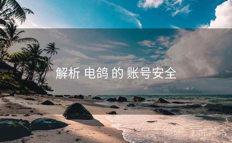 解析 电鸽 的 账号安全