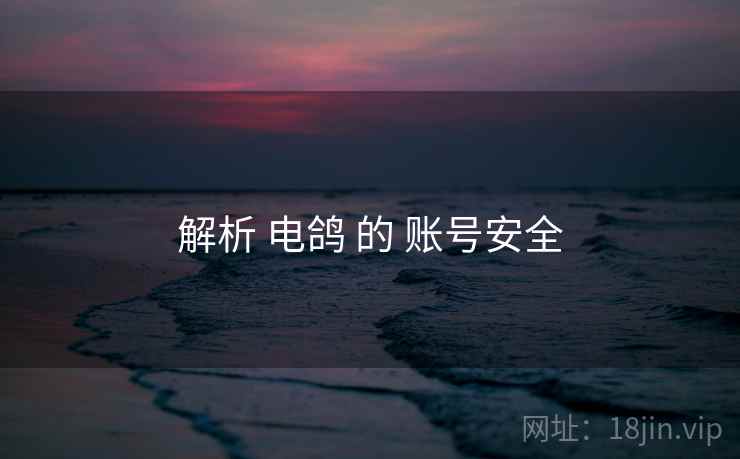解析 电鸽 的 账号安全