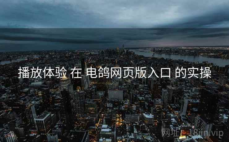 播放体验 在 电鸽网页版入口 的实操