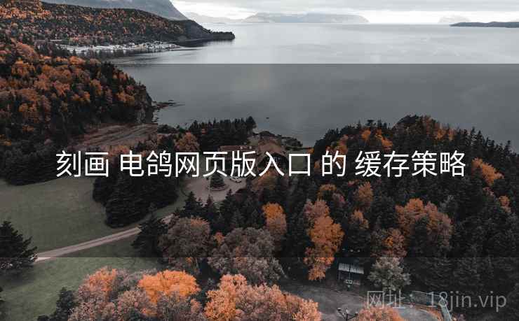 刻画 电鸽网页版入口 的 缓存策略