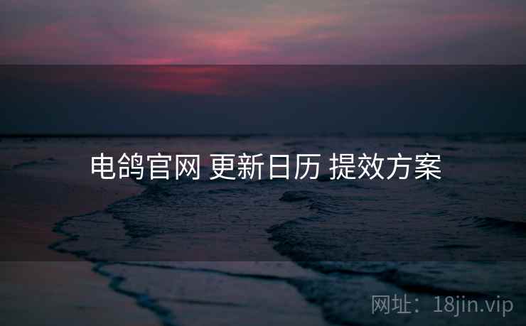 电鸽官网 更新日历 提效方案