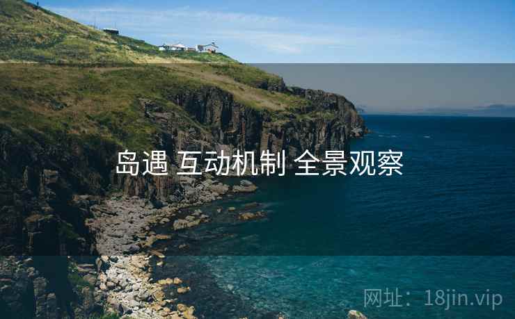 岛遇 互动机制 全景观察