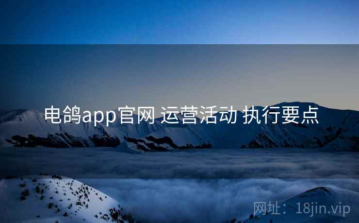电鸽app官网 运营活动 执行要点