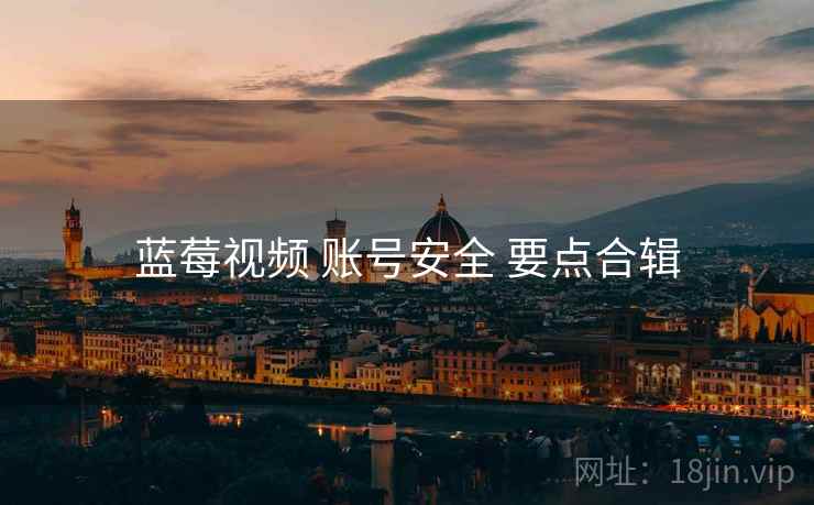 蓝莓视频 账号安全 要点合辑