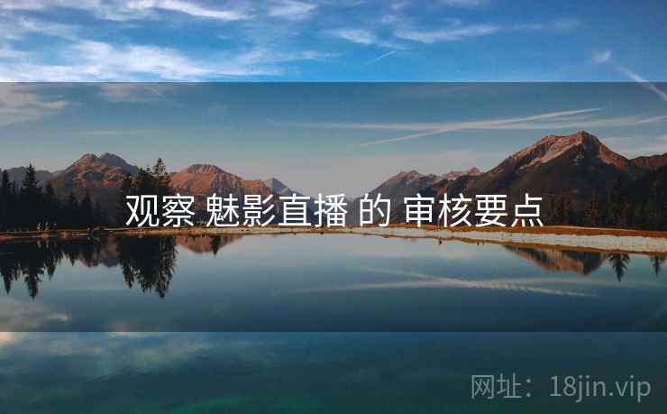 观察 魅影直播 的 审核要点