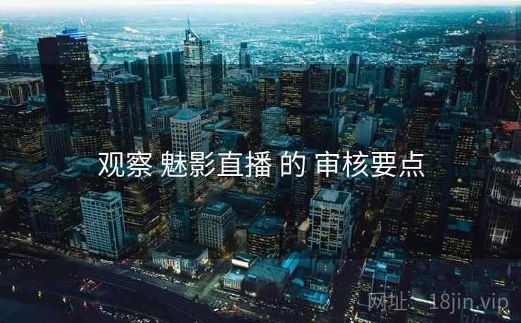 观察 魅影直播 的 审核要点