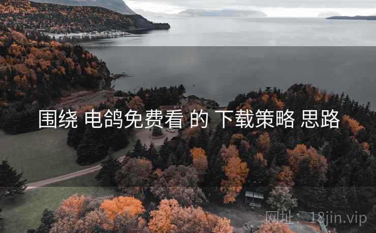 围绕 电鸽免费看 的 下载策略 思路