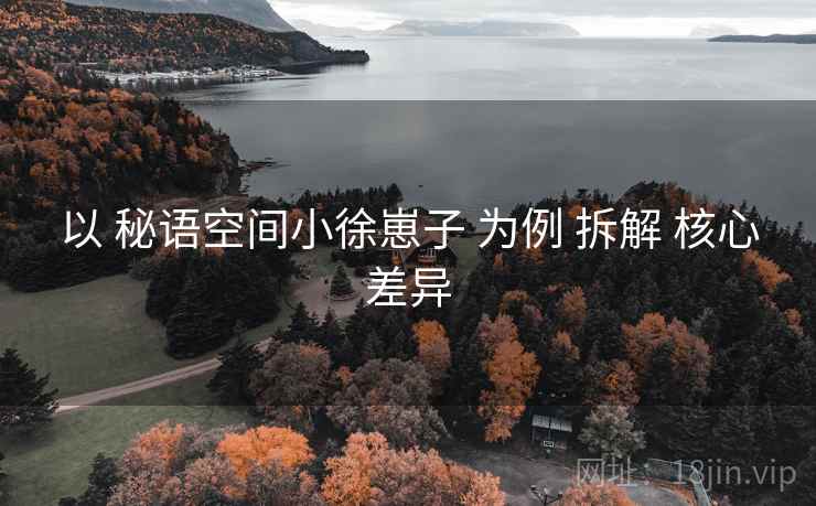 以 秘语空间小徐崽子 为例 拆解 核心差异