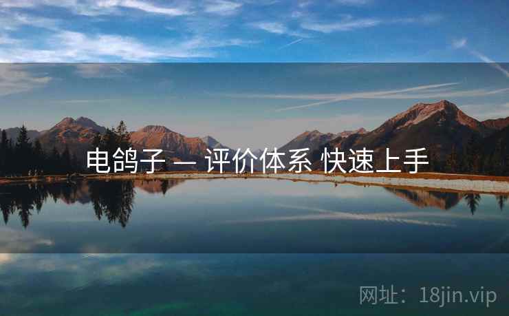 电鸽子 — 评价体系 快速上手