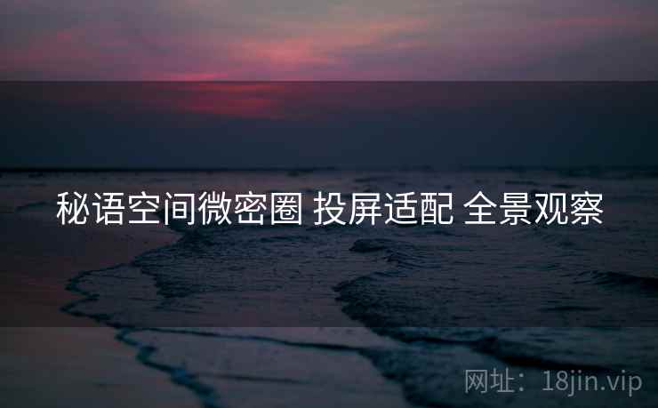 秘语空间微密圈 投屏适配 全景观察