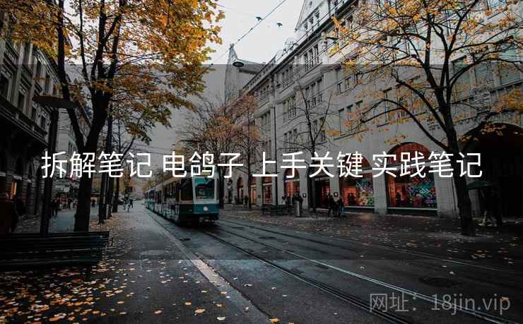 拆解笔记 电鸽子 上手关键 实践笔记