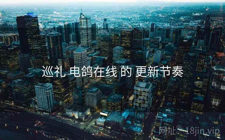巡礼 电鸽在线 的 更新节奏